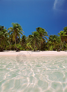 罗坦岛的塔比亚纳海滩图片
