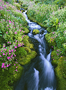 山涧小溪图片素材