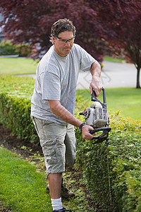 修剪树篱的园丁图片