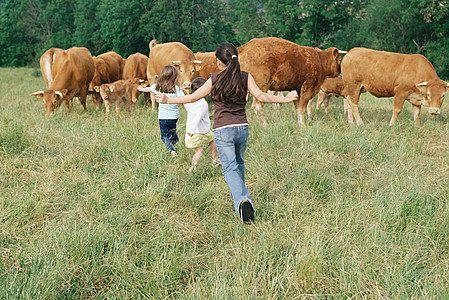 女孩们在牛群中奔跑图片