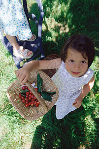 摘浆果的女孩图片
