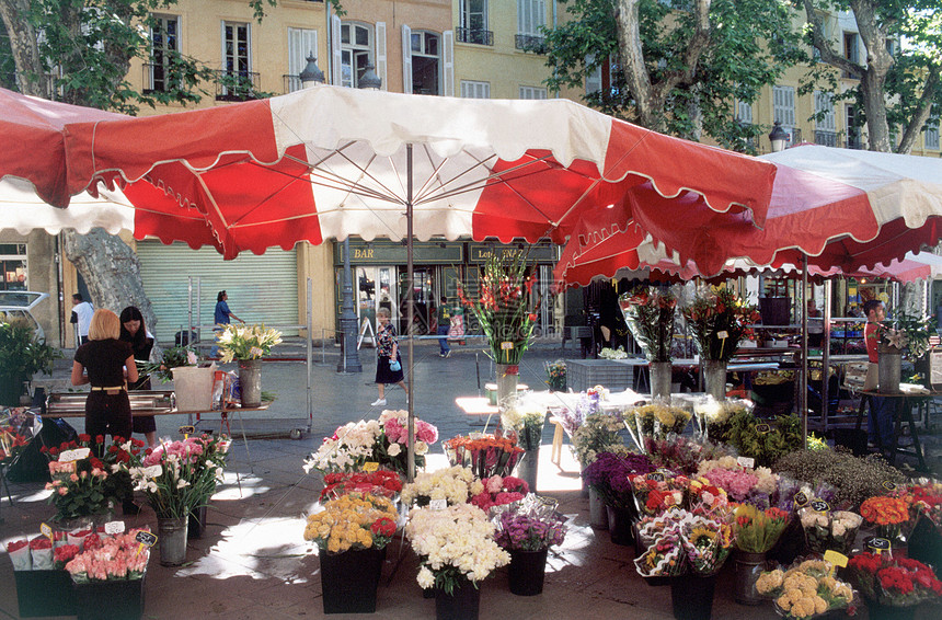 特尔广场花卉市场图片
