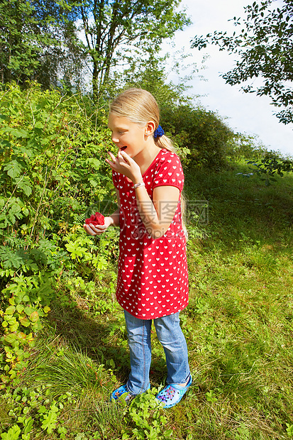 吃新鲜树莓的小女孩图片
