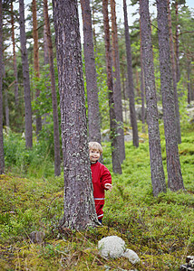 孩子躲在森林里的树后图片