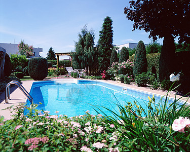 花园游泳池图片