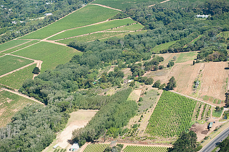 南非农田背景图片
