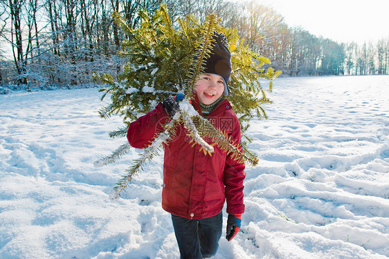 在雪地里抱圣诞树的男孩图片