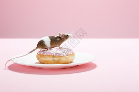 鼠标和油炸圈饼图片
