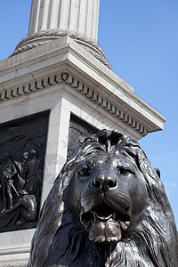 伦敦狮子雕像和纳尔逊柱图片