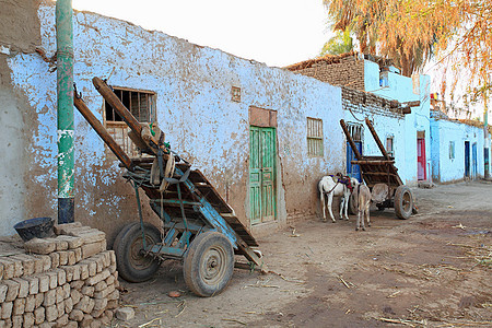 埃及尼罗河附近的村庄图片