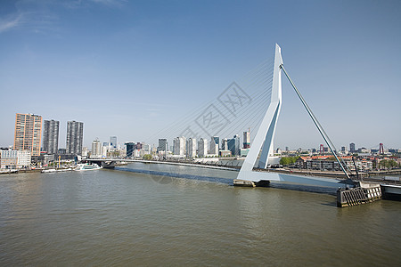 鹿特丹伊拉斯谟大桥图片