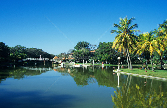 古巴瓦拉德罗公园图片