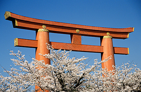 靖国神社图片 靖国神社素材 靖国神社高清图片 摄图网图片下载 靖国神社图片 靖国神社素材 靖国神社高清图片 摄图网图片下载