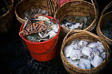 香港市场中的鱼图片