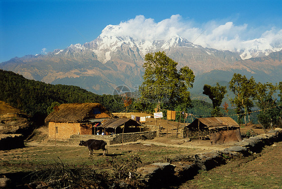 安纳普纳尼泊尔图片
