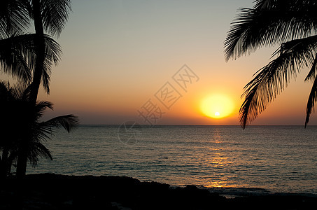 墨西哥图伦棕榈树和海上日落图片