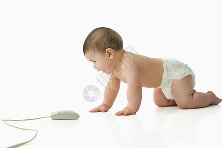 观察电脑鼠标的宝宝图片
