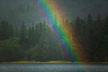 森林湖上的彩虹图片