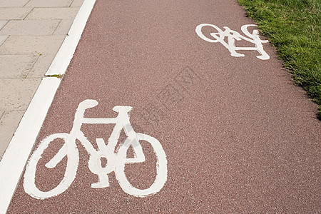 自行车道图片