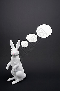 兔子和语音气泡图片