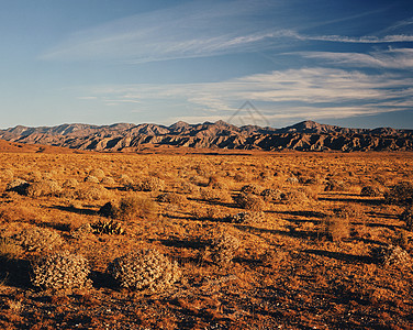 加利福尼亚沙漠图片