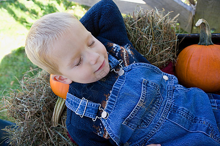男孩在干草和南瓜上睡着了图片