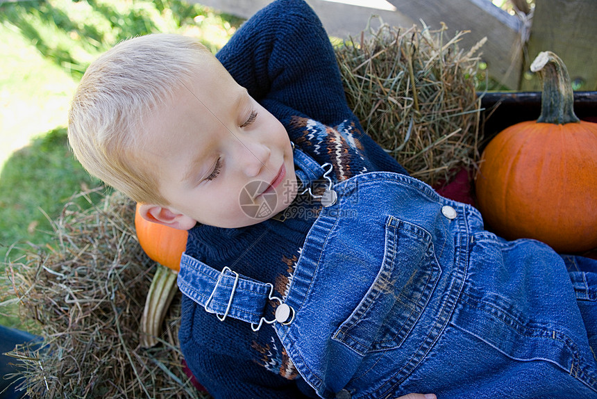 ‘~男孩在干草和南瓜上睡着了  ~’ 的图片