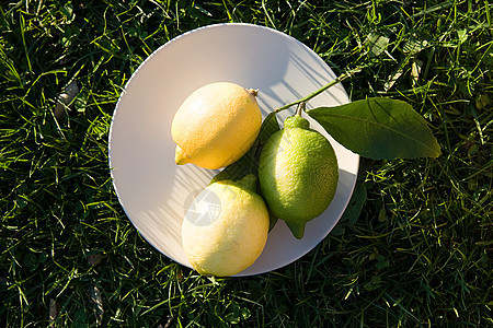 盘子里的柠檬和酸橙图片