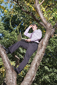 在树上监视的办公室工作人员图片