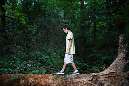 男孩在木头上行走图片