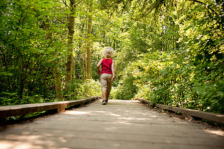 小男孩在森林里的木走道上散步图片