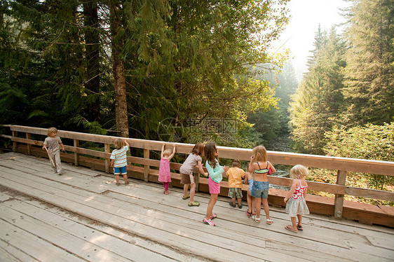 一群孩子站在森林中的木桥上图片