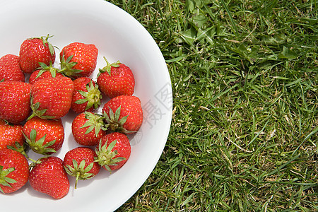 草坪上的一碗草莓图片