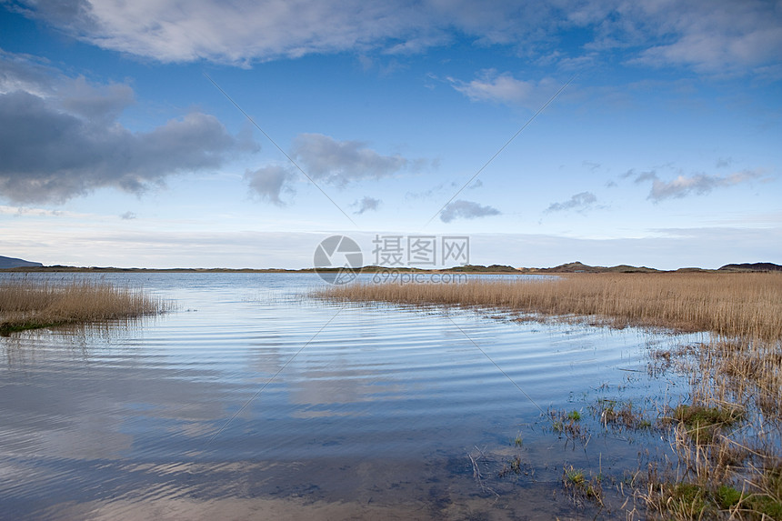 特里湾县克里图片