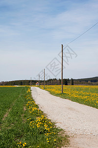 巴伐利亚州的乡村小路图片
