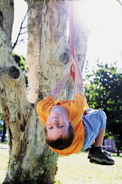 在树绳上摇摆的男孩图片