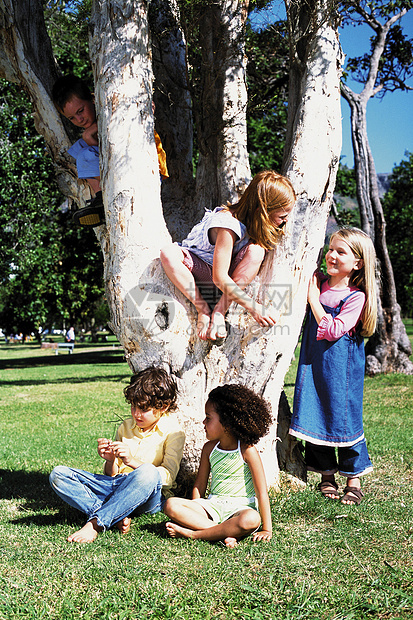 孩子们在树上玩耍图片