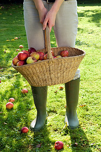 带着一篮苹果的女人图片