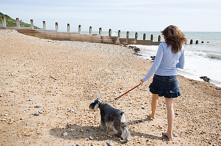 海边遛狗的女人背景图片