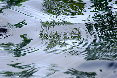 池塘上的涟漪图片