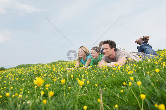 趴在草地上的一家人图片