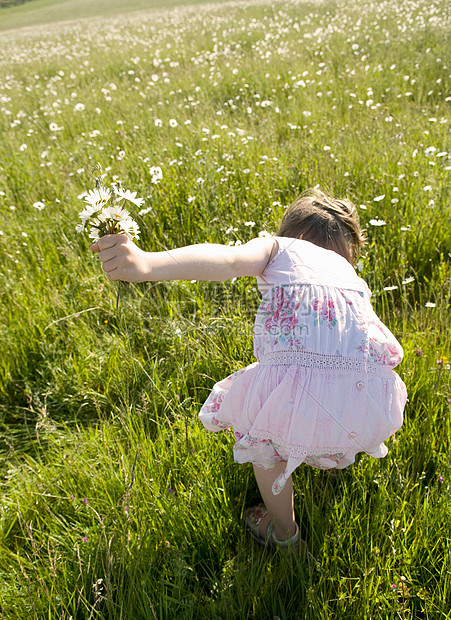 ‘~在草地上摘野花的小姐姐  ~’ 的图片