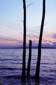 日落时的湖面图片