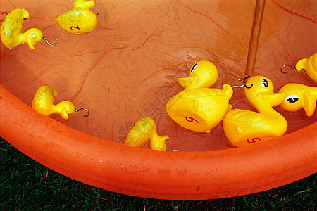 游泳池橡胶鸭图片