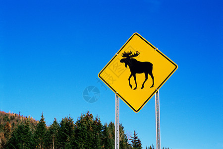 驼鹿警告标志图片