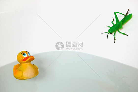 浴缸里的蚱蜢和橡皮鸭图片