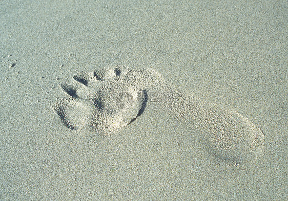 沙地足迹图片