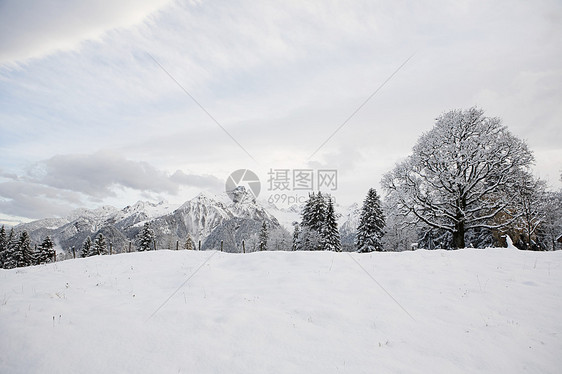 雪景图片