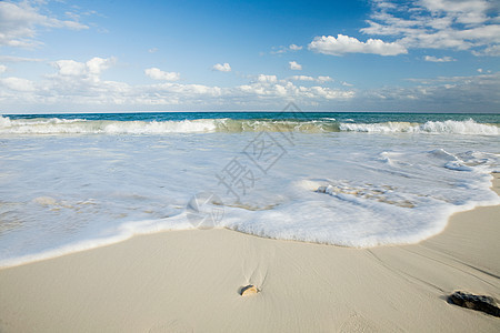 海滩和海洋图片