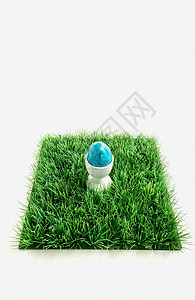 草地上的彩色鸡蛋图片
